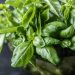 Spices and herbs: A wholesome taste enhance – Indianapolis Information | Indiana Climate | Indiana Visitors