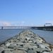 Chesapeake Bay watershed well being declined in 2024, report reveals