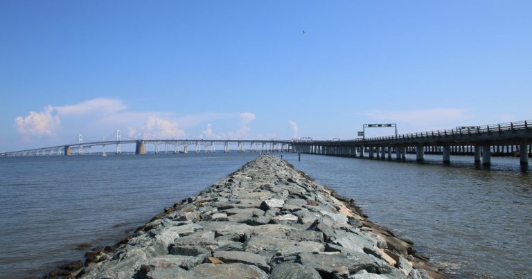 Chesapeake Bay watershed well being declined in 2024, report reveals