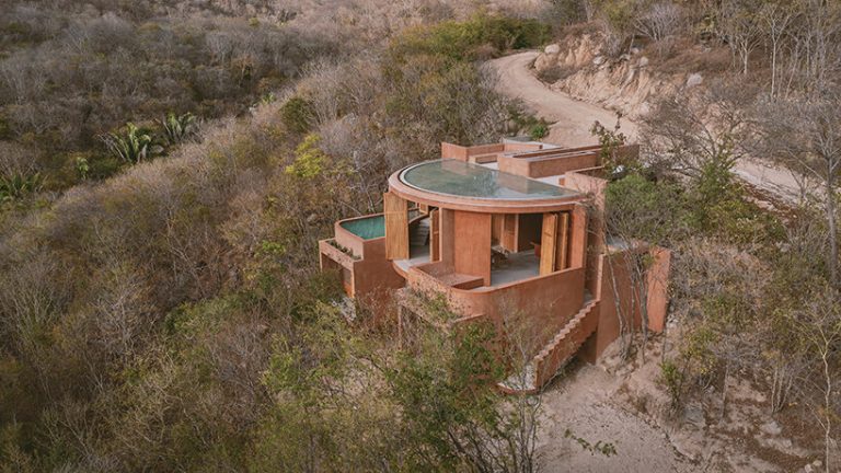 CRAB-SHEEL Lowling by espacio 18 steps on the Oaxacan rocks in Mexico