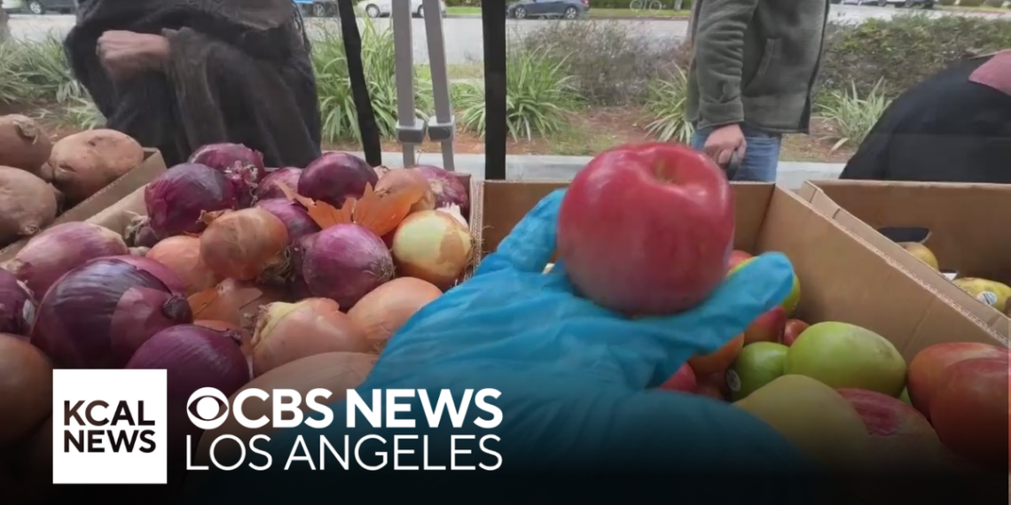 How Nourish L.A. helps households get wholesome meals at no cost