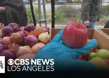 How Nourish L.A. helps households get wholesome meals at no cost