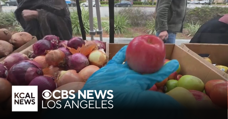 How Nourish L.A. helps households get wholesome meals at no cost