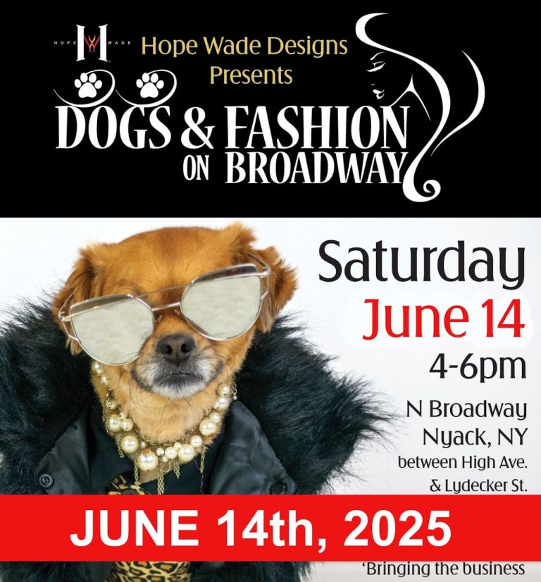 ‘Canine and Vogue on Broadway’ Brings Fashion, Enjoyable, and Furry Buddies to Nyack – Rockland Information