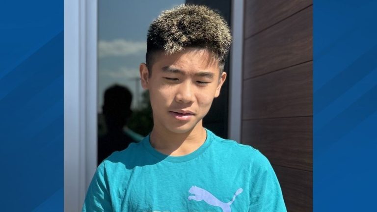 Utah households battle with youth psychological well being disaster as neighborhood seeks options
