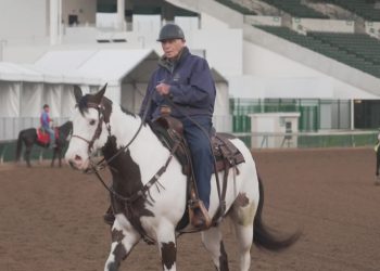 Corridor of Fame horse coach D. Wayne Lukas retires amid severe well being battle