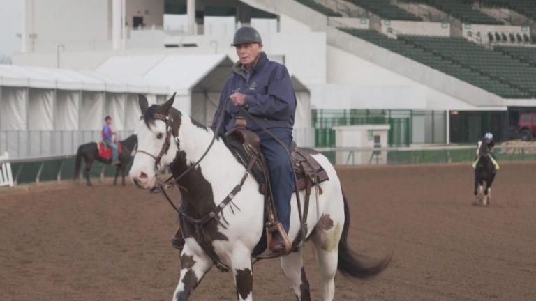 Corridor of Fame horse coach D. Wayne Lukas retires amid severe well being battle