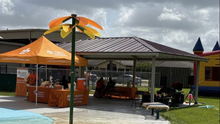 Volunteers host neighborhood well being honest in White Fort