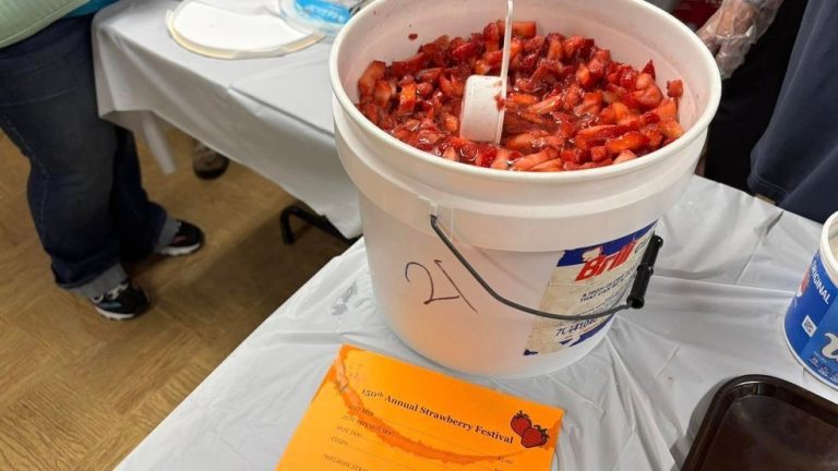 Melrose Chapel Strawberry Competition attracts hungry crowd, helps native meals pantry