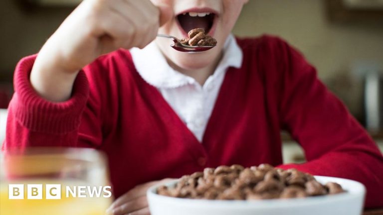 Why meals corporations are scrambling to chop down on elements