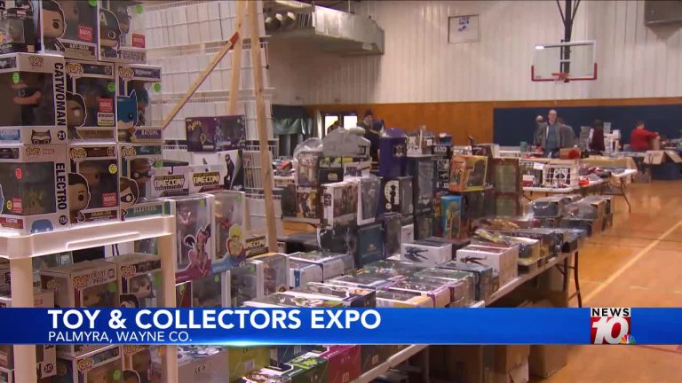 Finger Lakes Toy and Collectors Expo debuts, advantages native meals pantry