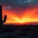 Marana’s 10-Yr Tourism Grasp Plan: Shaping the Way forward for Arizona, USA’s Hidden Gem