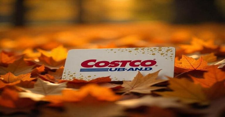 Can You Use a Costco Card as ID for Air Journey? TSA Clears Up the Confusion