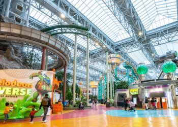 Unvaccinated little one with measles visited Mall of America, exposing patrons, well being officers warn