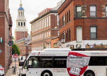 Trump limits worldwide college students to check at Harvard