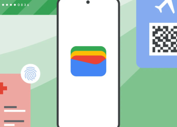 Google Pockets loses entry to paypal