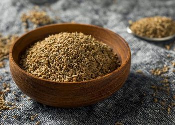 The centuries-old bloating remedy and girls’s wellness ally—does science agree?