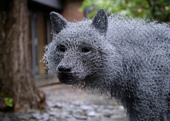 In “Huge Unhealthy Wolf”, the sculptor Kendra Hast helps