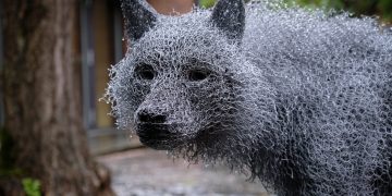 In “Huge Unhealthy Wolf”, the sculptor Kendra Hast helps