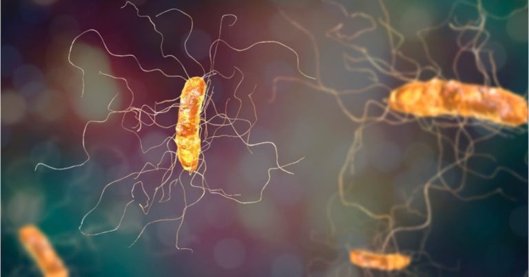 10 botulism circumstances linked again to Milton spa, well being officers say – Boston 25 Information