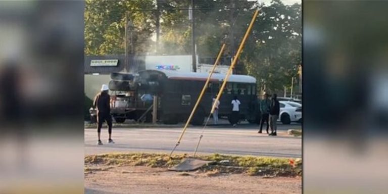 Meals truck operator busted by DeKalb County for working illegally – Atlanta Information First