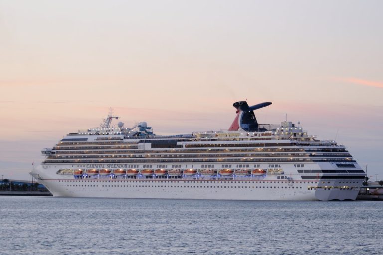 Carnival Cruise Line bans handheld followers from the dance ground for ‘security causes’