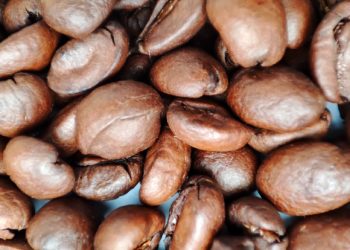 Ladies Consuming Caffeinated Espresso in Midlife are Extra Prone to Be Wholesome Agers: Research