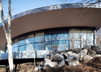 Kamiya – Hybrid Hybrid Architects’ residence follows the sweeping bow by way of the Japanese forest