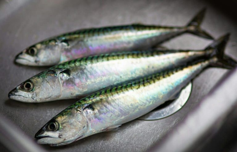 Herring Recalled As a consequence of Threat of Botulism