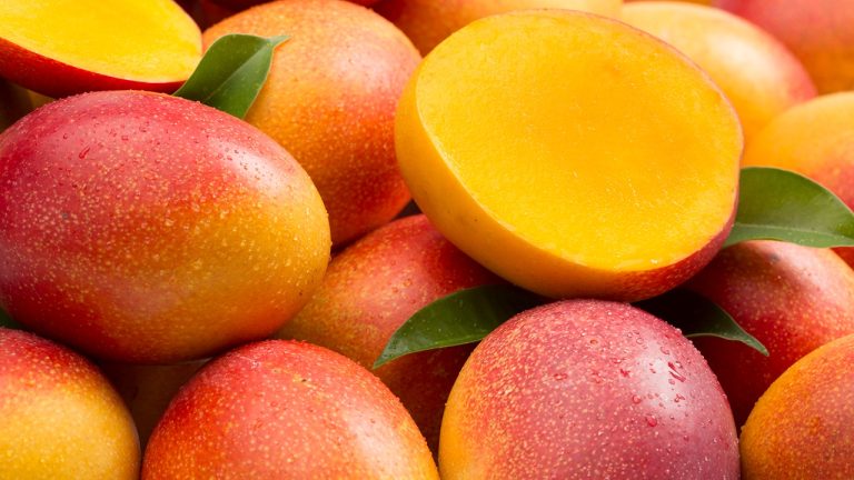 New examine suggests mangoes profit coronary heart well being in post-menopausal ladies