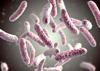 Examine exhibits dairy merchandise are each good and unhealthy for intestine well being