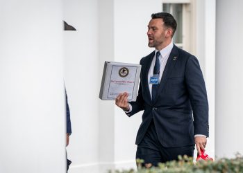 The checklist “Jeffrey Epstein” and the obsession she surrounds it defined