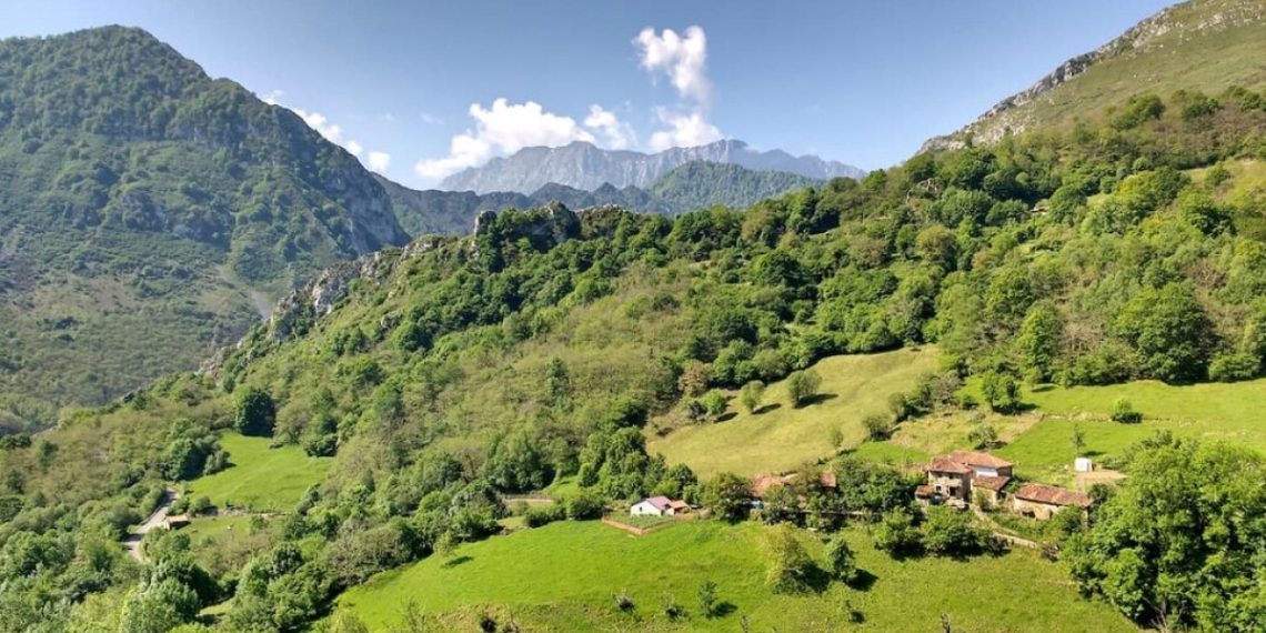 Information to rural schemes in Spain — idealista/information