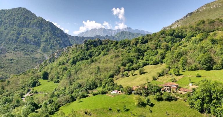 Information to rural schemes in Spain — idealista/information