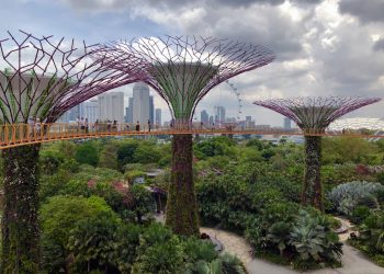 The way forward for expertise: seniors, journals and GPU – OH My! – besttechie