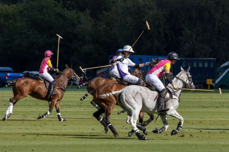Polo Joins Luxurious Journey Traits: How St. Moritz, AlUla, Jaipur, Miami, Dubai, Mongolia, and Extra Are Redefining Unique Getaways
