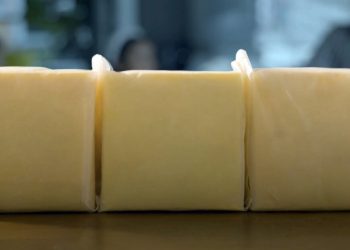 Biodegradable and plastic cheese packaging breaks down by itself