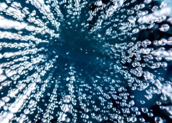 EnergyCloud Companions with Amazon to deal with vitality poverty