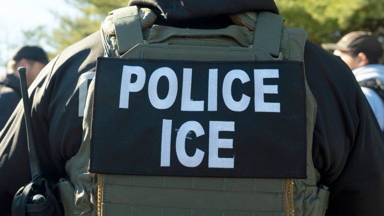 Trump’s “anti-migrant rhetoric” presents the technological trade in the UK a aggressive benefit, say consultants | Scientific, climatic and technological information