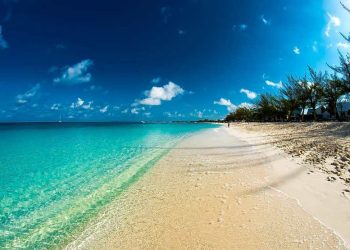 CIDOT Showcases Summer season 2025 “Warning: E book Responsibly” Marketing campaign on the Caribbean Journey Market in Antigua