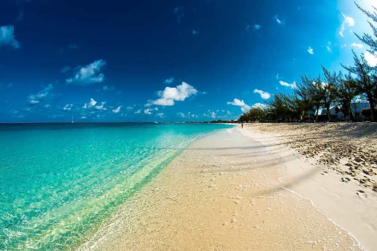 CIDOT Showcases Summer season 2025 “Warning: E book Responsibly” Marketing campaign on the Caribbean Journey Market in Antigua
