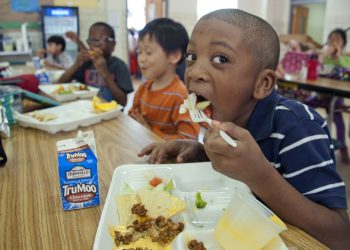 The Davidson County meals service program begins subsequent week0 – DavidsonLocal.com