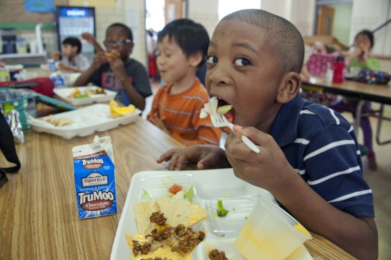 The Davidson County meals service program begins subsequent week0 – DavidsonLocal.com