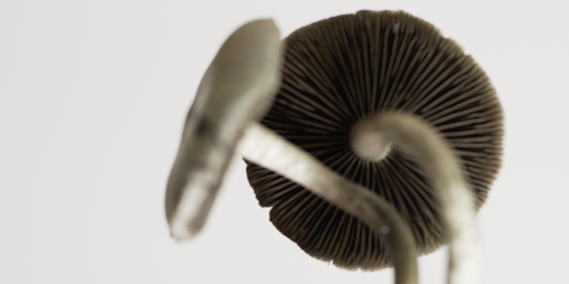 Grantsville life coach arrested for allegedly promoting medicine to shoppers