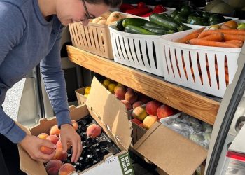 Western NC braces for finish of Medicaid program that funded meals, well being help