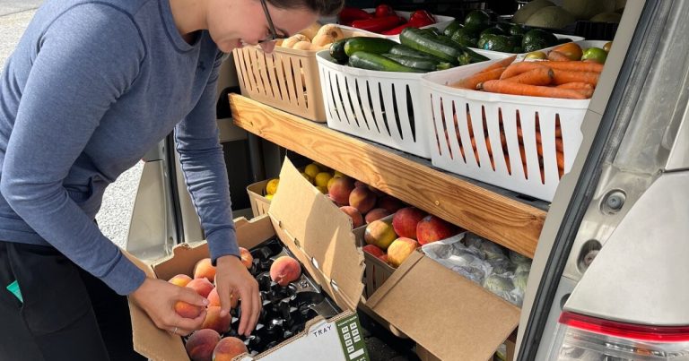Western NC braces for finish of Medicaid program that funded meals, well being help
