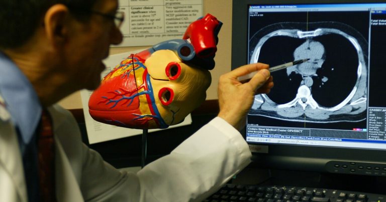 South Asian coronary heart well being