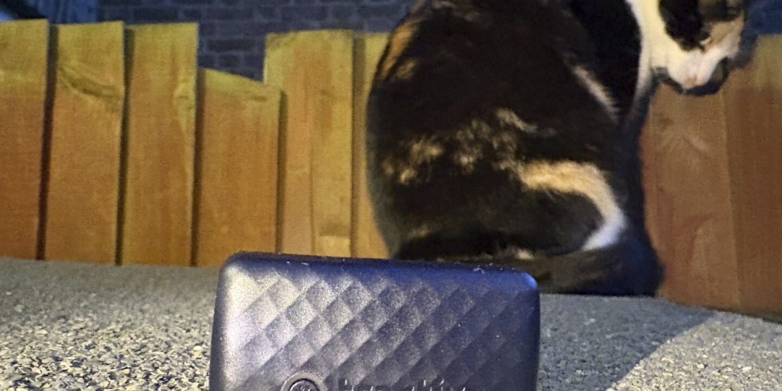 Technological suggestions for pursuing pets