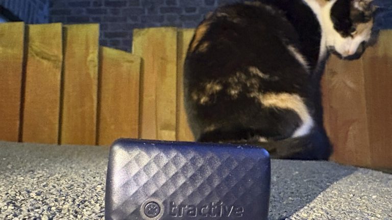 Technological suggestions for pursuing pets