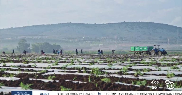 Trump indicators shift in immigration coverage; UFW involved US meals provide